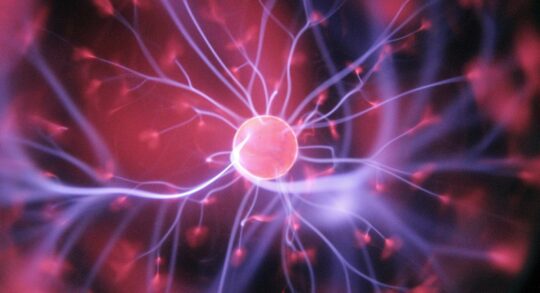psicoeduk neurodivergencias